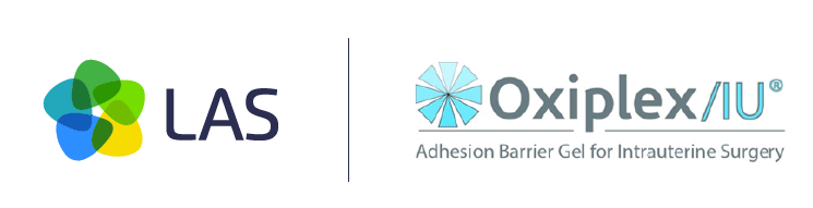 Screenshot 2025-06-17 at 11.17.45